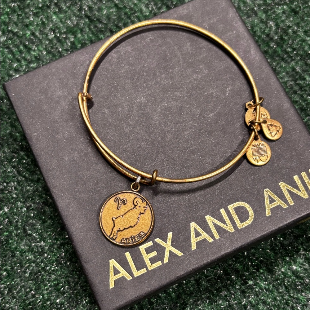 Lex and Ani Aries bracelet